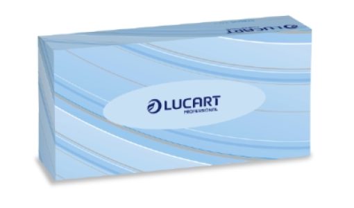 841030 Lucart Strong 100 V