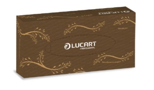841073 Lucart EcoNatural 100 V verticale